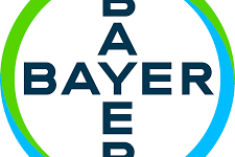 Edukacja pacjentów w 2022 r dofinansowana przez firmę Bayer